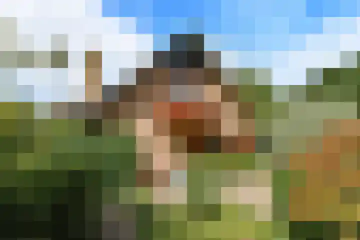 De Wuurde 33 Elst thumbnail 79