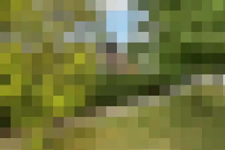 De Wuurde 33 Elst thumbnail 8
