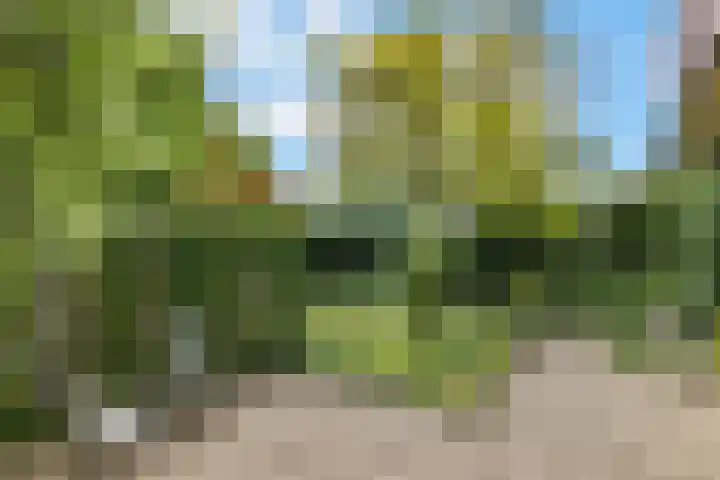 De Wuurde 33 Elst thumbnail 80