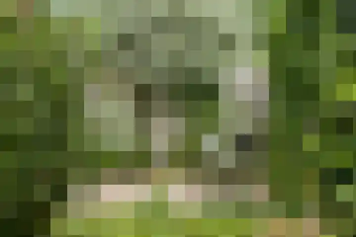 De Wuurde 33 Elst thumbnail 81