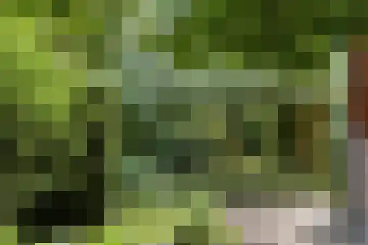 De Wuurde 33 Elst thumbnail 82