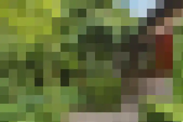 De Wuurde 33 Elst thumbnail 83