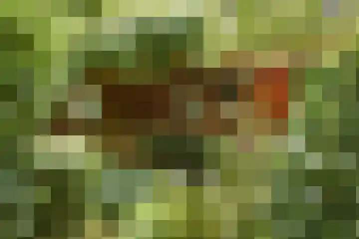 De Wuurde 33 Elst thumbnail 84