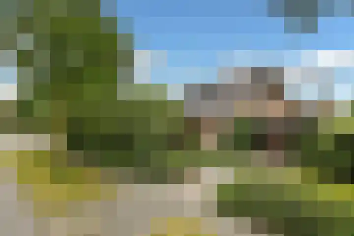 De Wuurde 33 Elst thumbnail 87