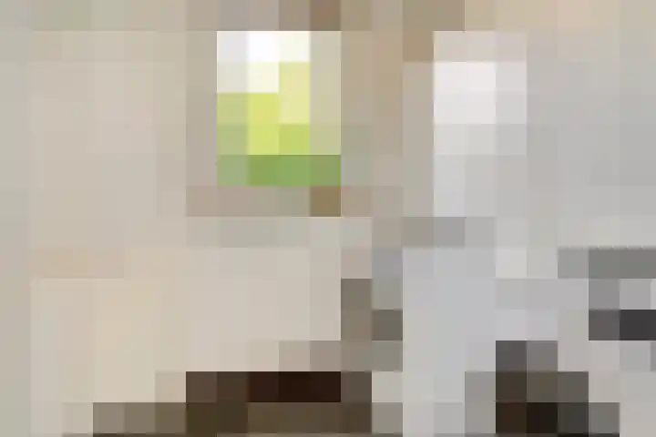 De Wuurde 34 Elst thumbnail 19
