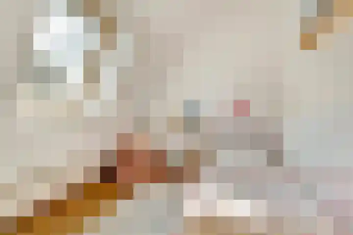 De Wuurde 34 Elst thumbnail 25