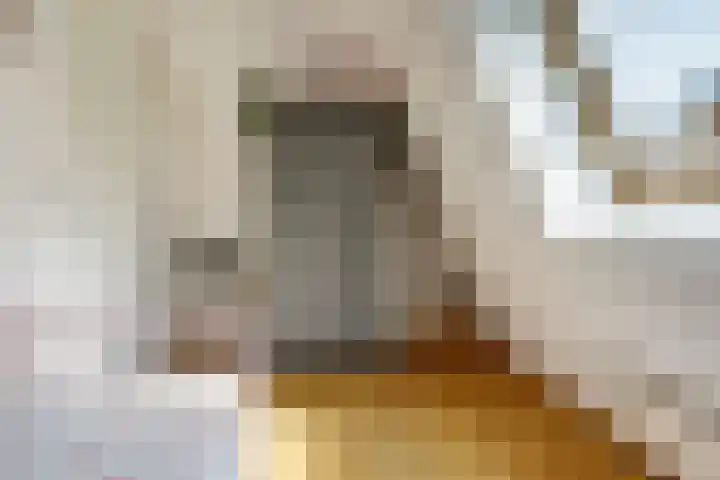 De Wuurde 34 Elst thumbnail 26