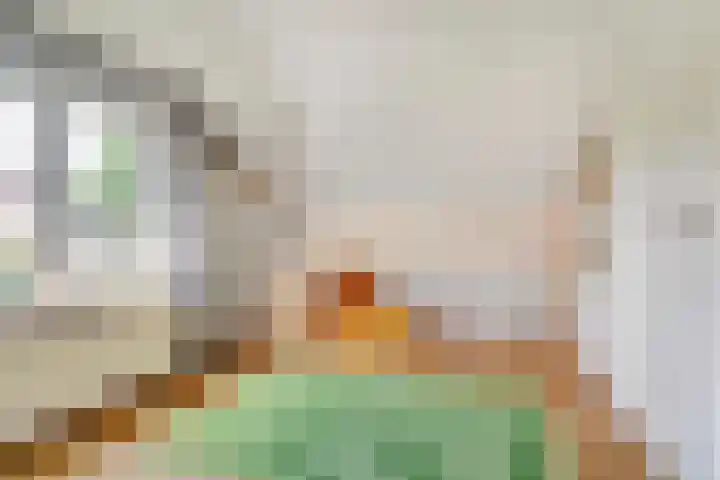 De Wuurde 34 Elst thumbnail 27