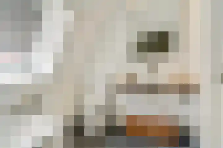 De Wuurde 34 Elst thumbnail 30