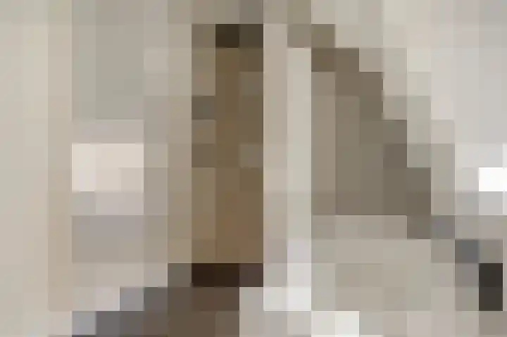 De Wuurde 34 Elst thumbnail 31