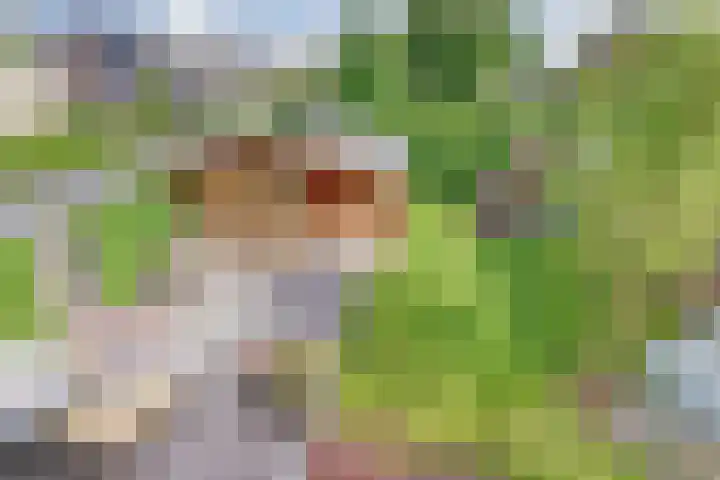 De Wuurde 34 Elst thumbnail 32