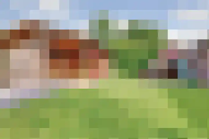 De Wuurde 34 Elst thumbnail 33