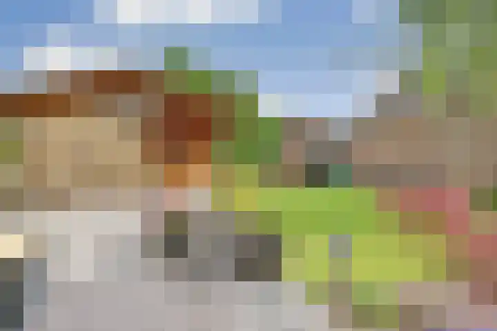 De Wuurde 34 Elst thumbnail 34