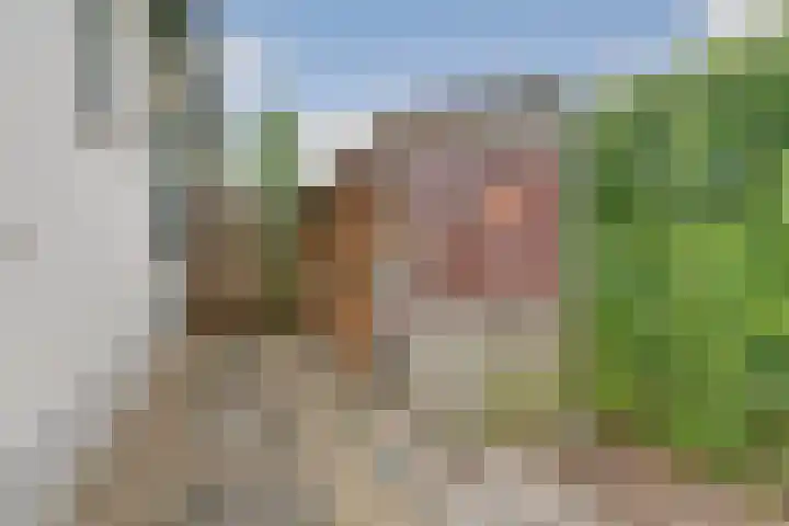 De Wuurde 34 Elst thumbnail 35