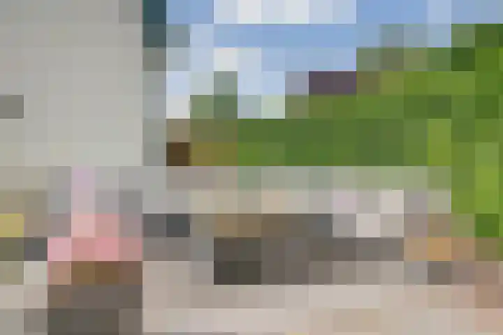 De Wuurde 34 Elst thumbnail 38