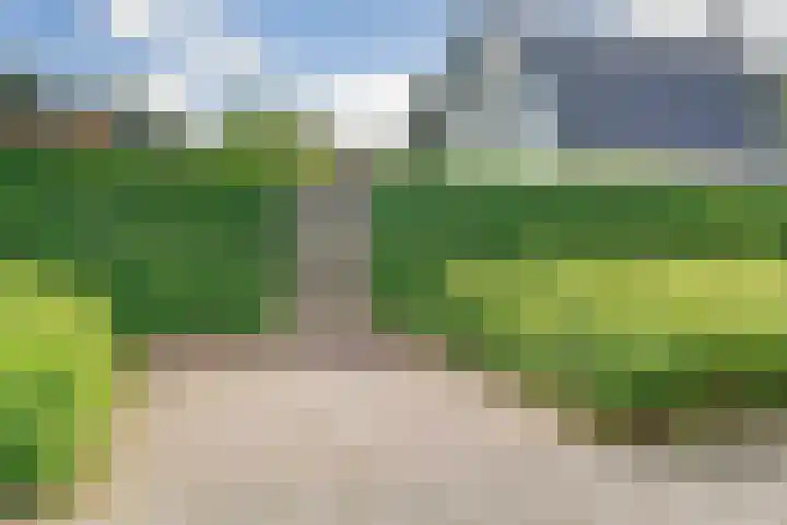 De Wuurde 34 Elst thumbnail 40