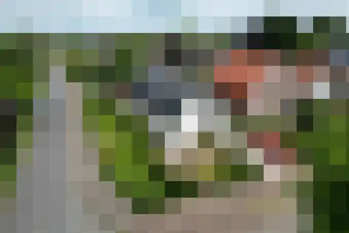 De Wuurde 34 Elst thumbnail 42