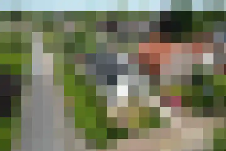 De Wuurde 34 Elst thumbnail 43
