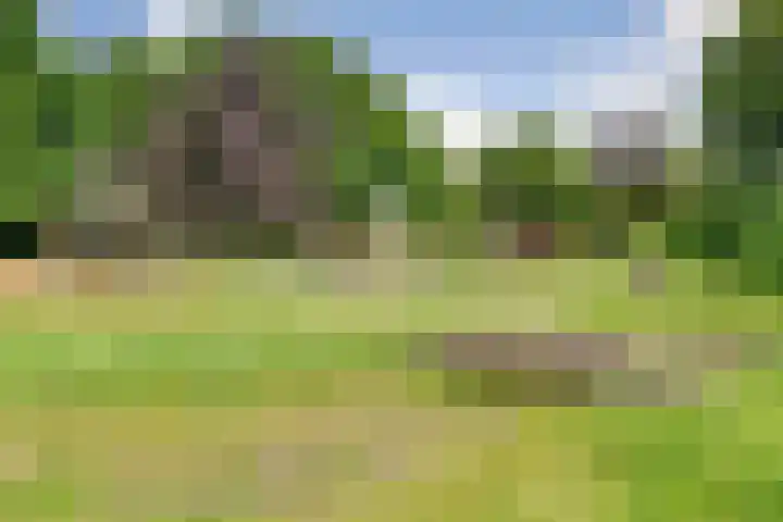 De Wuurde 34 Elst thumbnail 44
