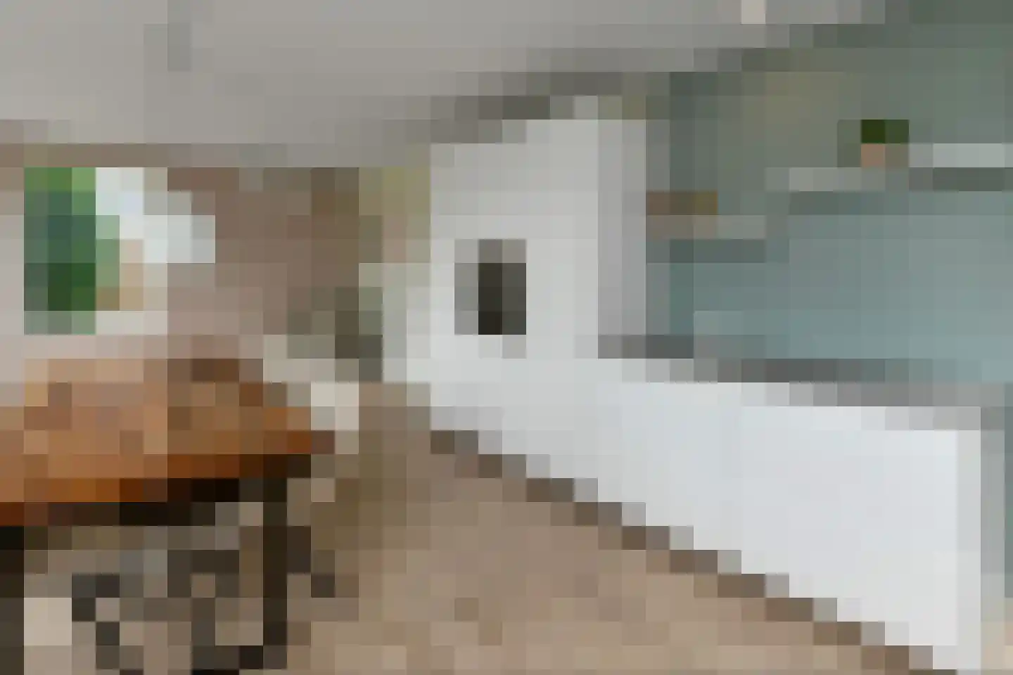 De Wuurde 50 Elst thumbnail 11