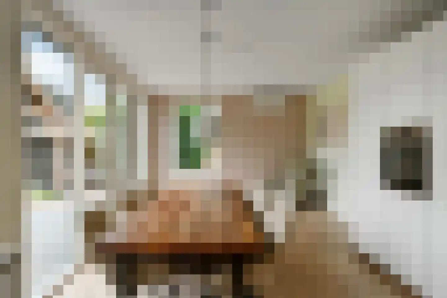 De Wuurde 50 Elst thumbnail 12