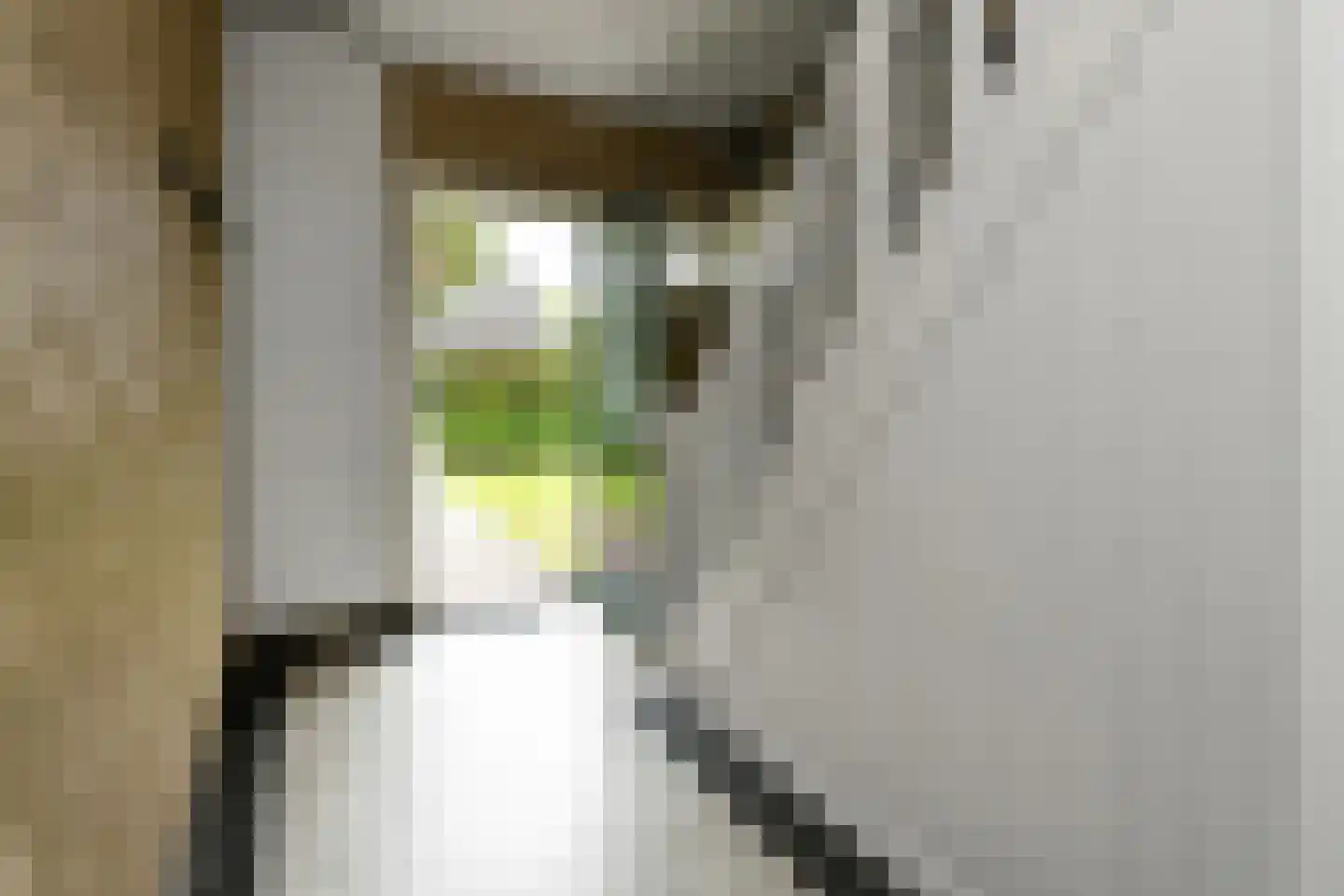 De Wuurde 50 Elst thumbnail 31
