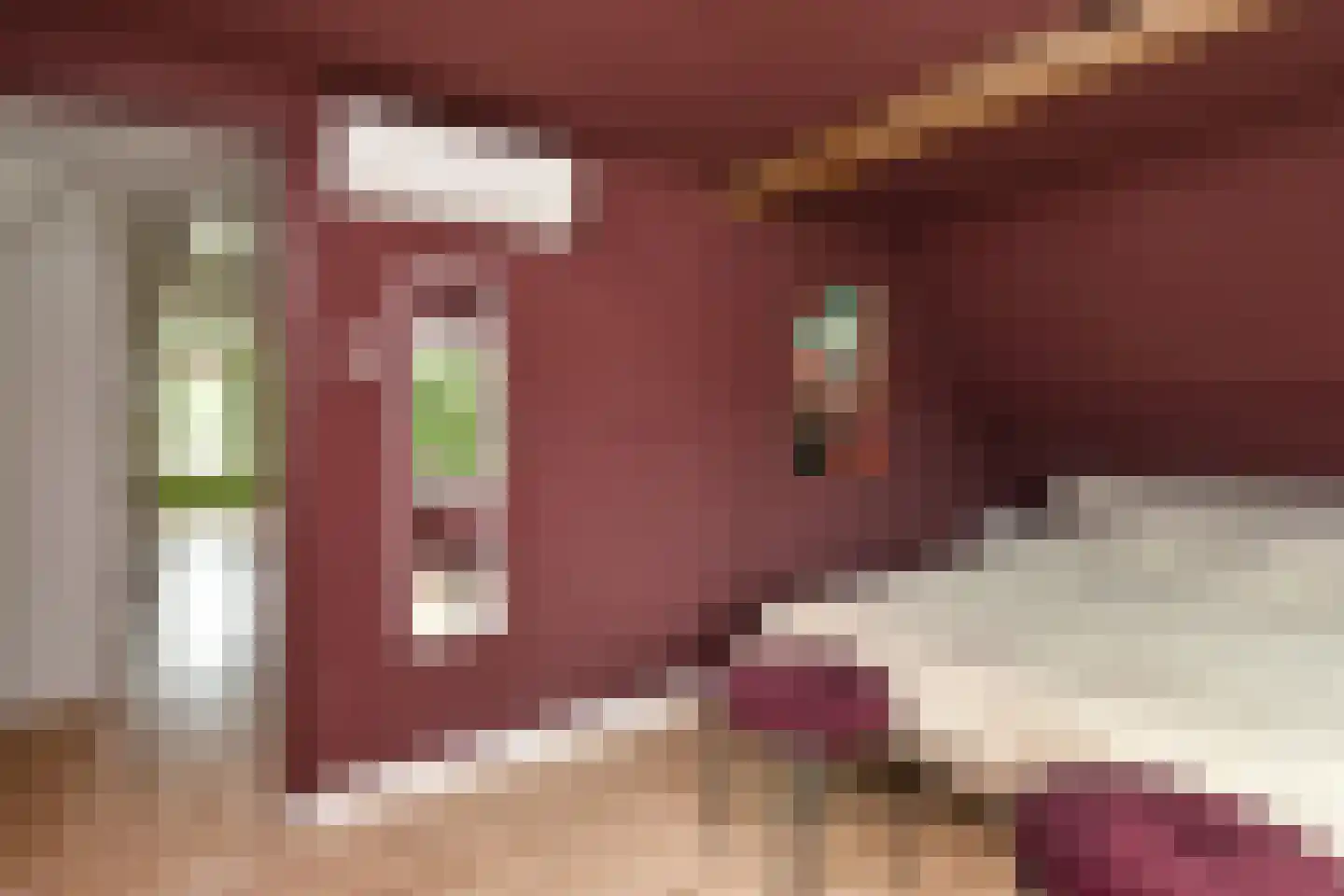 De Wuurde 50 Elst thumbnail 36
