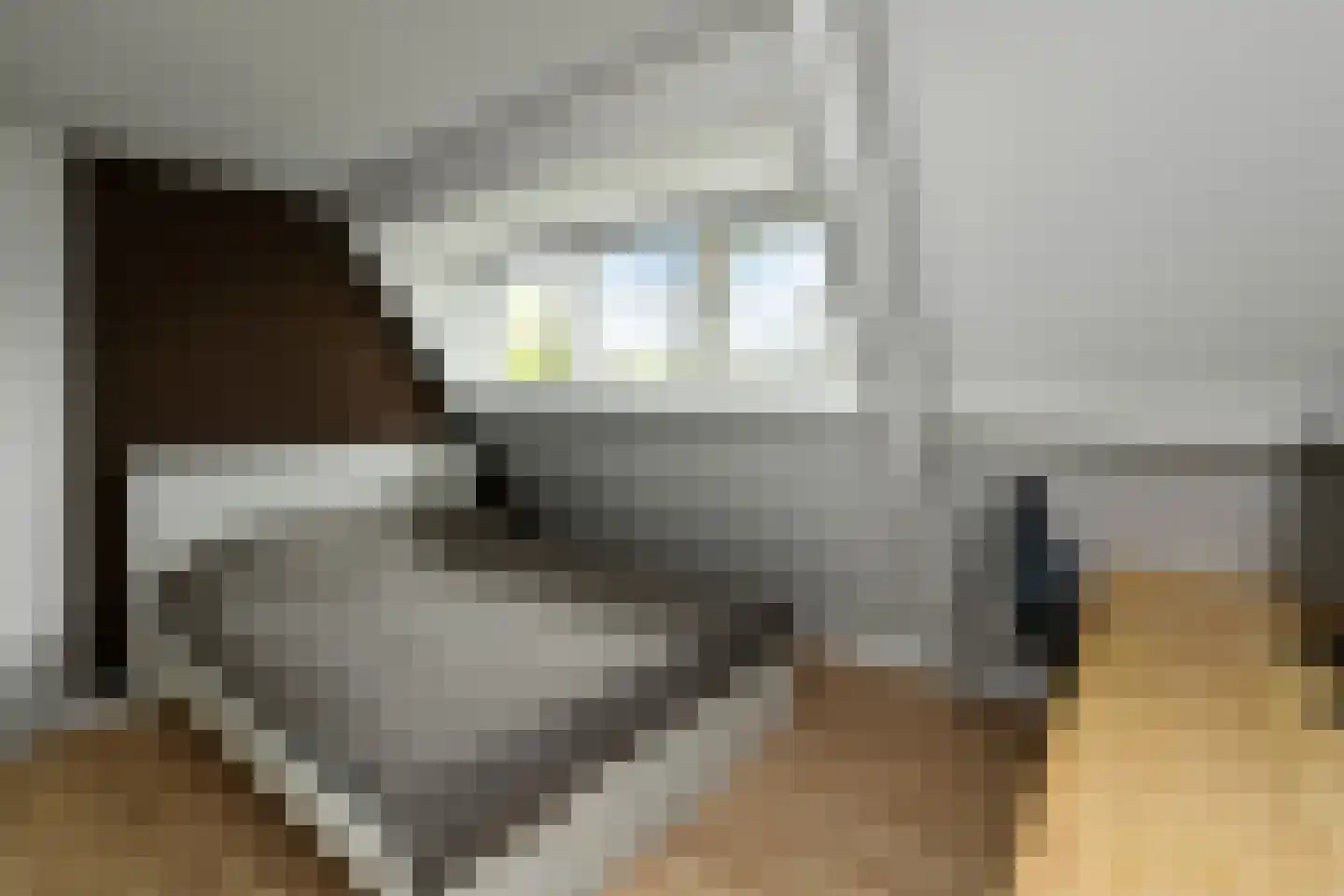 De Wuurde 50 Elst thumbnail 37