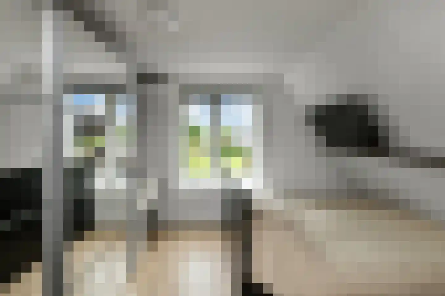 De Wuurde 50 Elst thumbnail 42