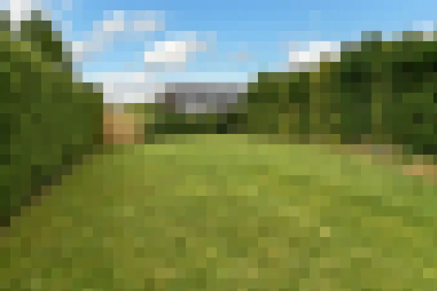 De Wuurde 50 Elst thumbnail 52