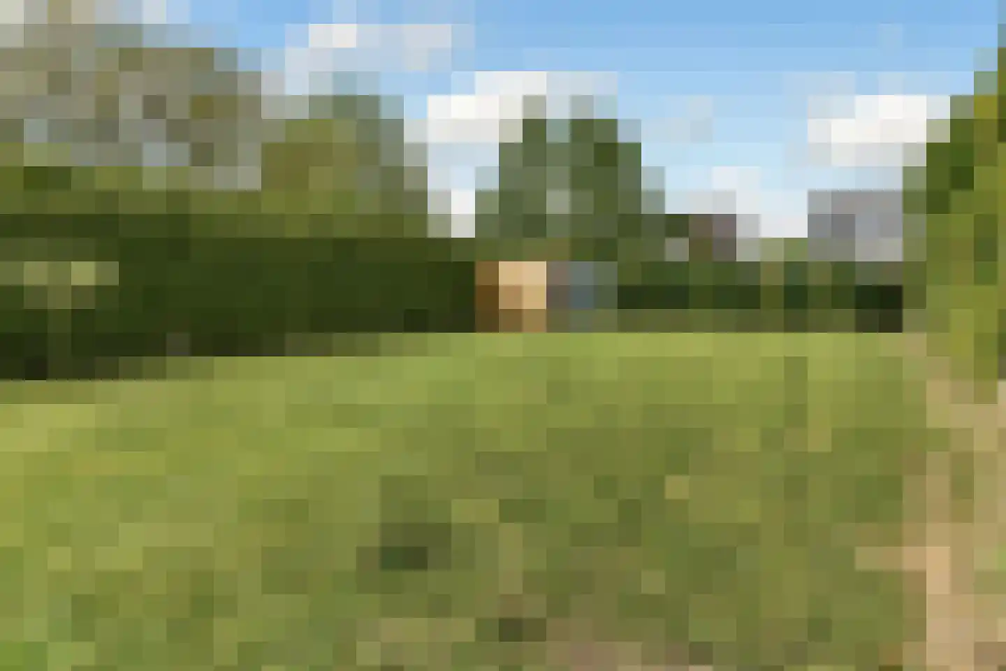De Wuurde 50 Elst thumbnail 53
