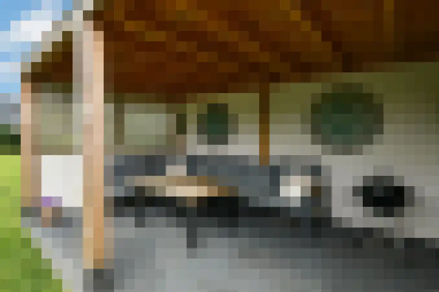 De Wuurde 50 Elst thumbnail 54