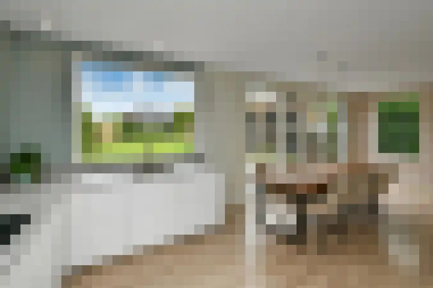 De Wuurde 50 Elst thumbnail 6