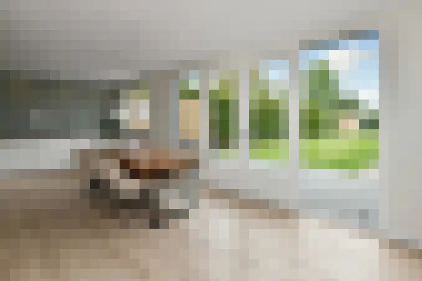 De Wuurde 50 Elst thumbnail 7