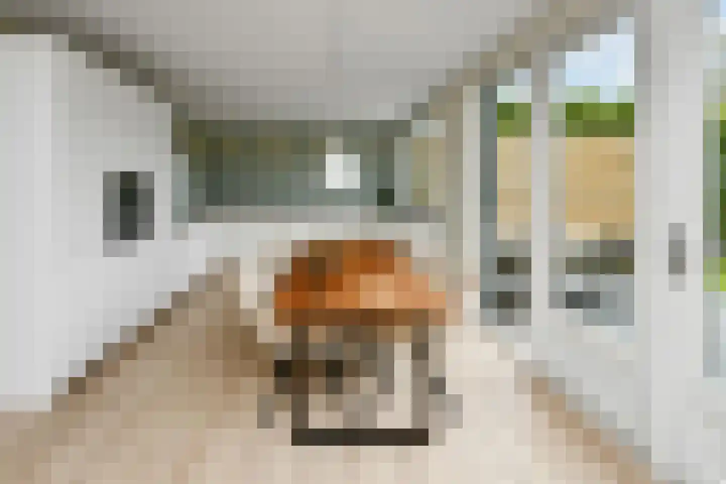 De Wuurde 50 Elst thumbnail 8