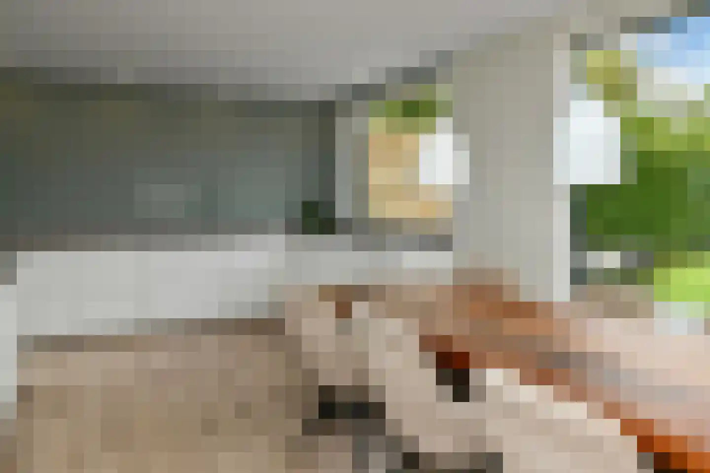 De Wuurde 50 Elst thumbnail 9
