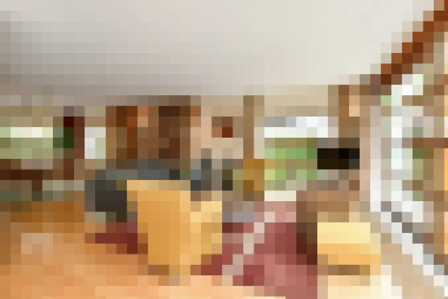 De Wuurde 71 Elst thumbnail 16