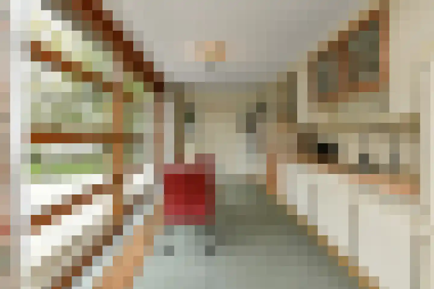 De Wuurde 71 Elst thumbnail 18