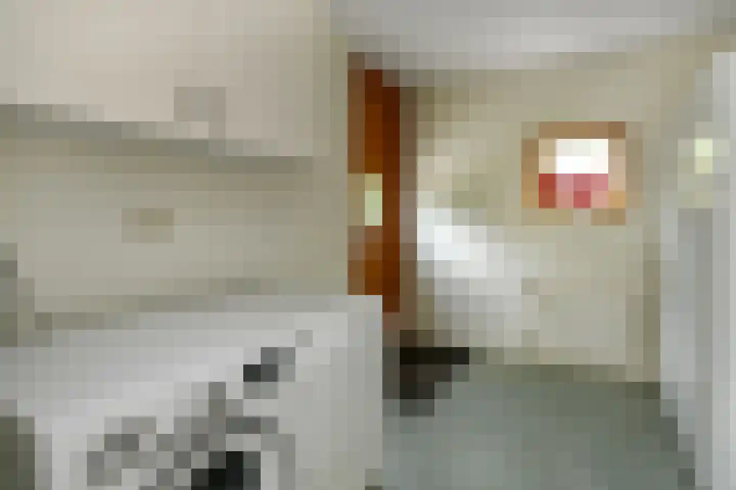 De Wuurde 71 Elst thumbnail 21