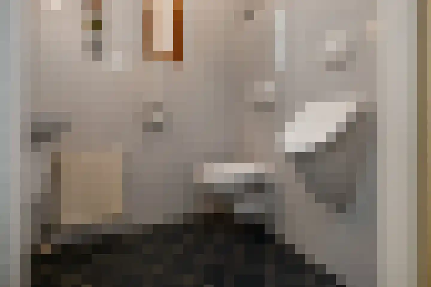 De Wuurde 71 Elst thumbnail 22