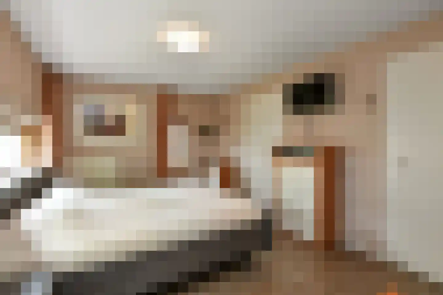 De Wuurde 71 Elst thumbnail 27