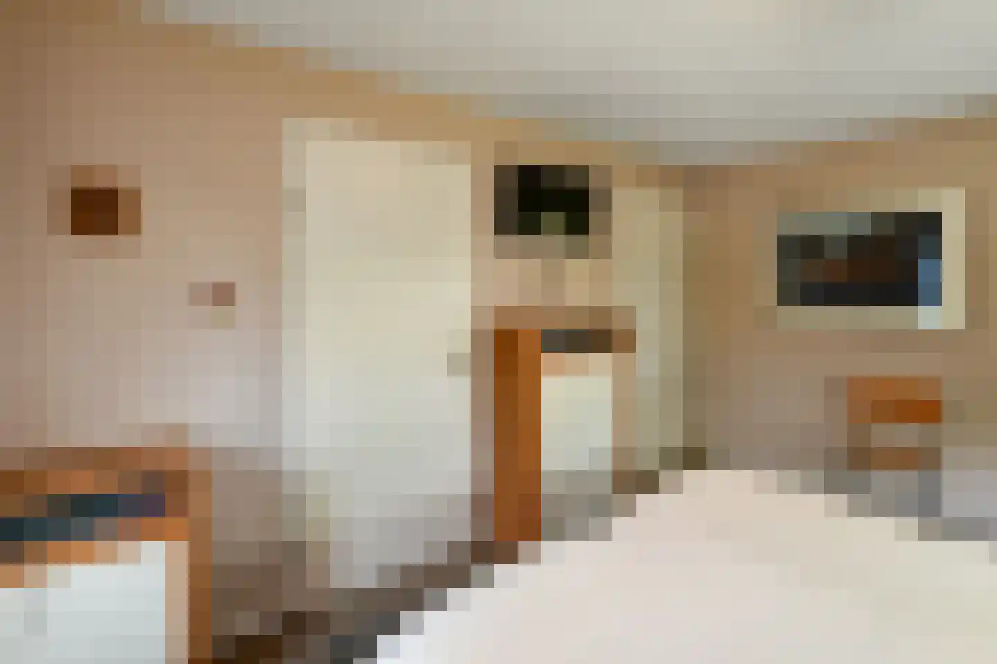 De Wuurde 71 Elst thumbnail 28