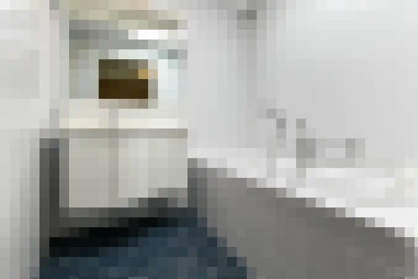De Wuurde 71 Elst thumbnail 31
