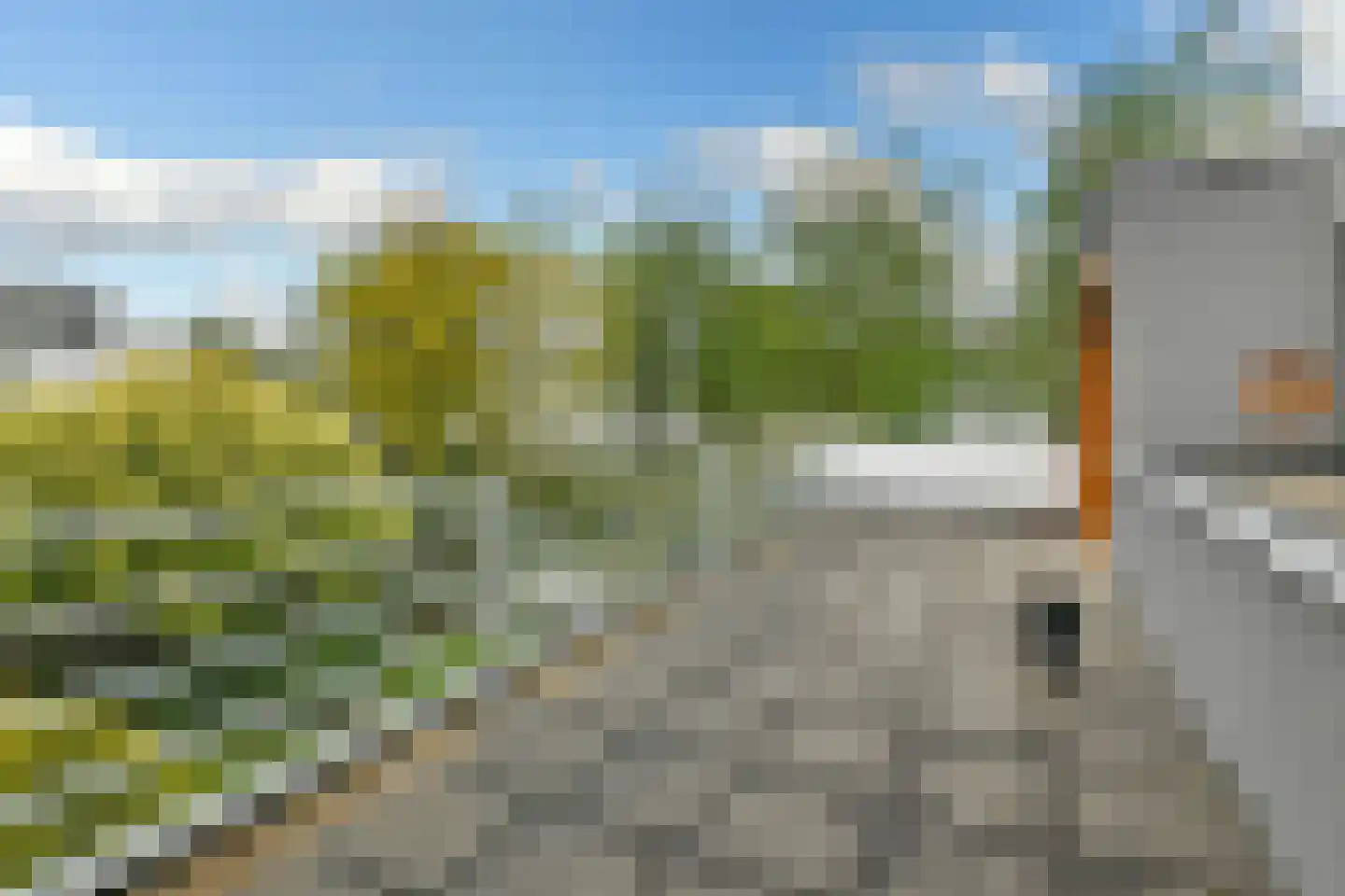 De Wuurde 71 Elst thumbnail 40
