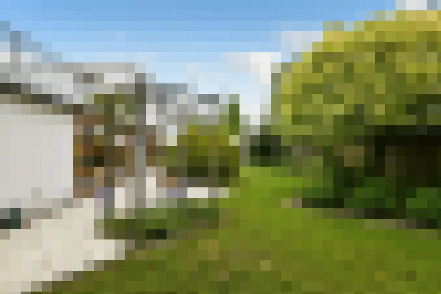 De Wuurde 71 Elst thumbnail 42