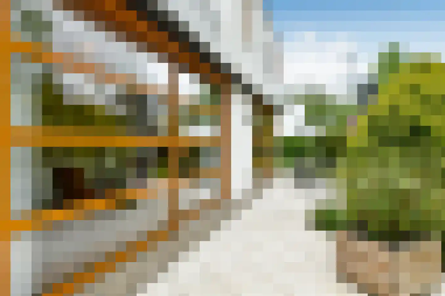 De Wuurde 71 Elst thumbnail 44