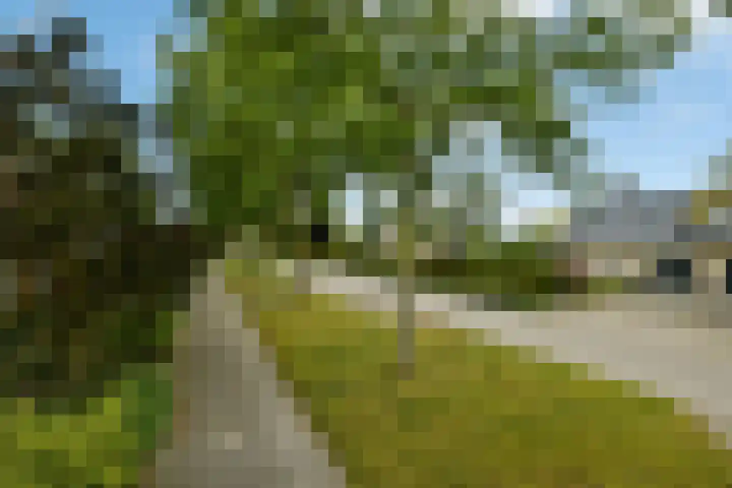 De Wuurde 71 Elst thumbnail 5