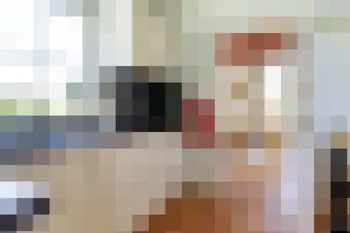 De Wuurde 87 Elst thumbnail 15