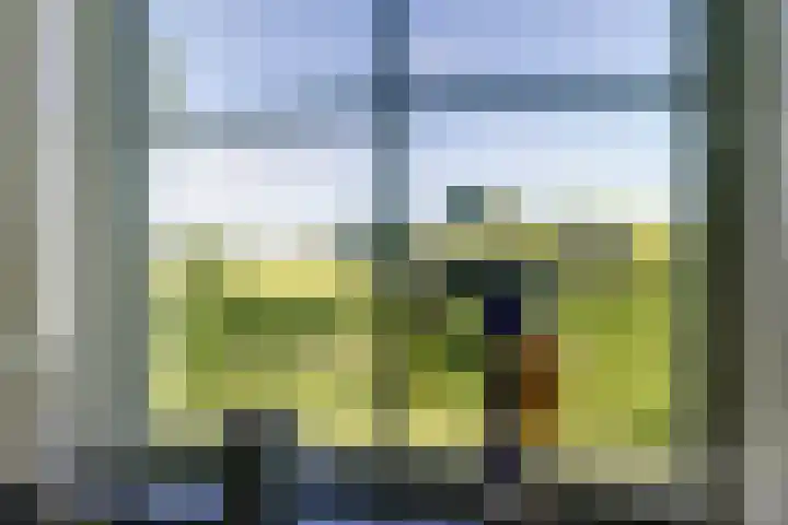 De Wuurde 87 Elst thumbnail 17