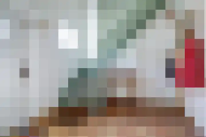 De Wuurde 87 Elst thumbnail 23